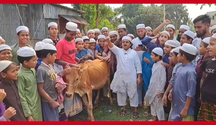 আওয়ামী লীগ নিষিদ্ধ: খুশিতে গরু জবাই করে খাওয়ালেন শিশু বক্তা মাওলানা রফিকুল ইসলাম